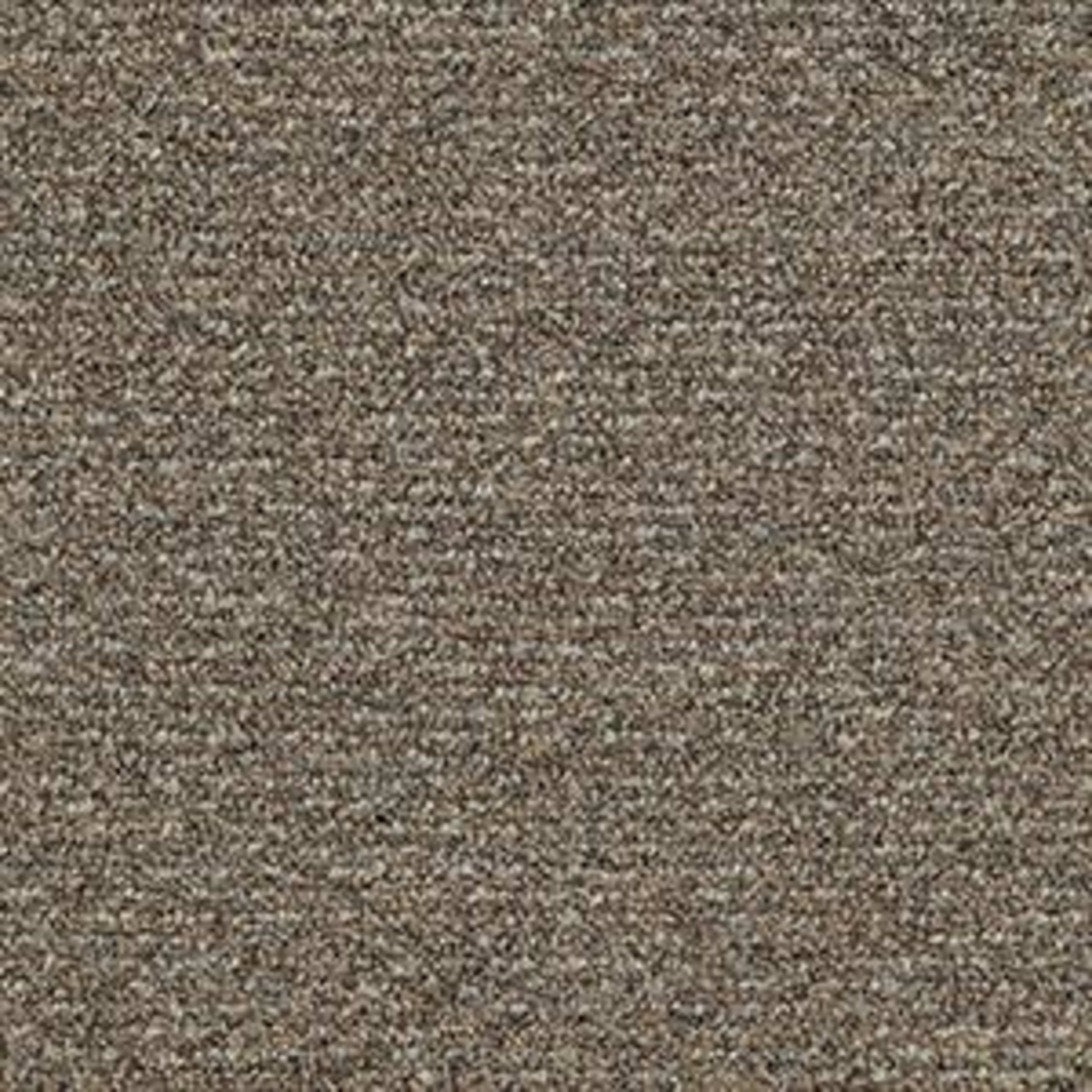 Natural Path in Mineralite Carpet