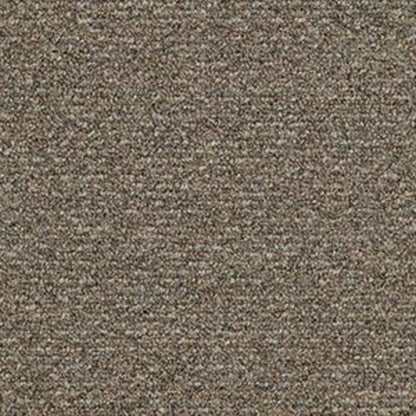 Natural Path in Mineralite Carpet