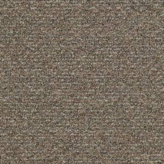 Natural Path in Mineralite Carpet