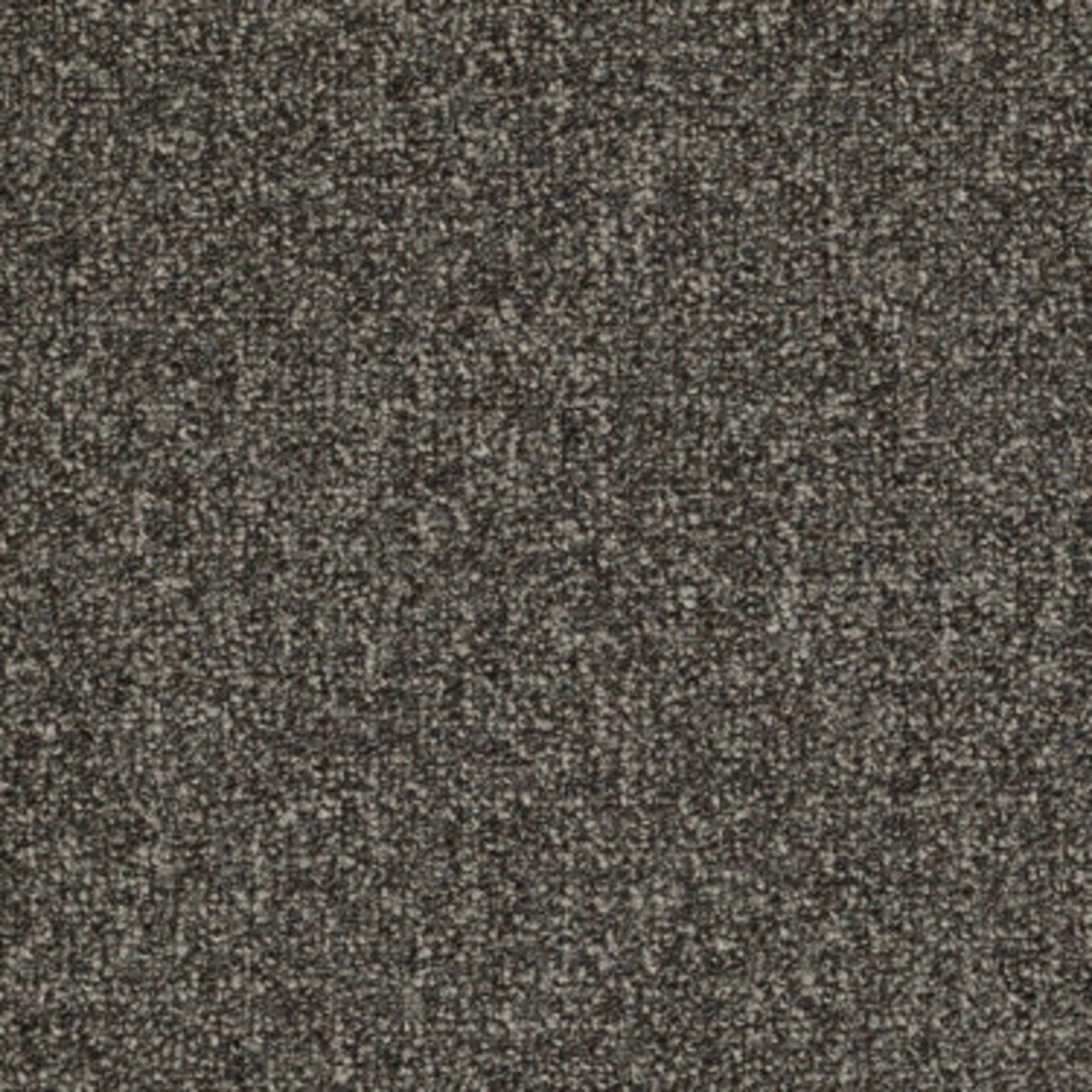 Casual Boucle in Flagstone Carpet