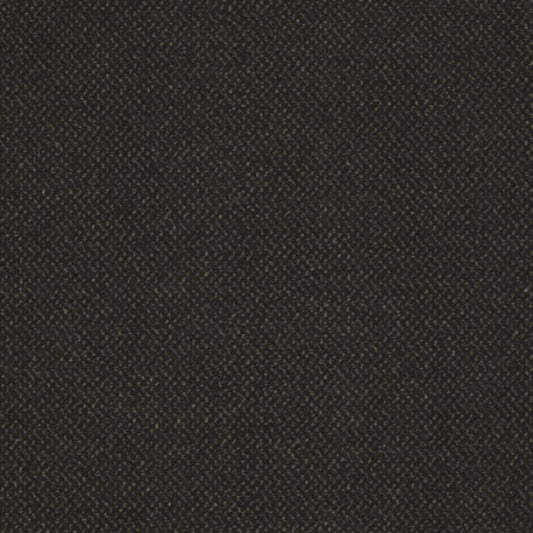 Future Generations in Millennial Carpet