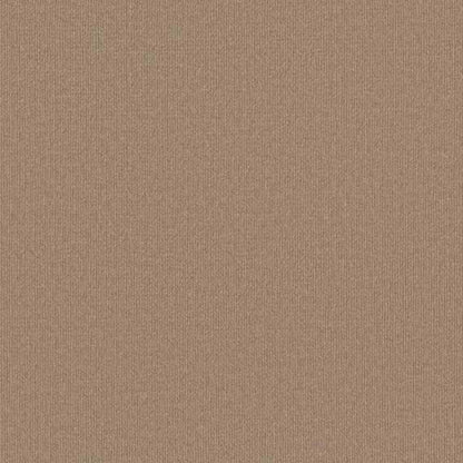 Backdrop 2 12