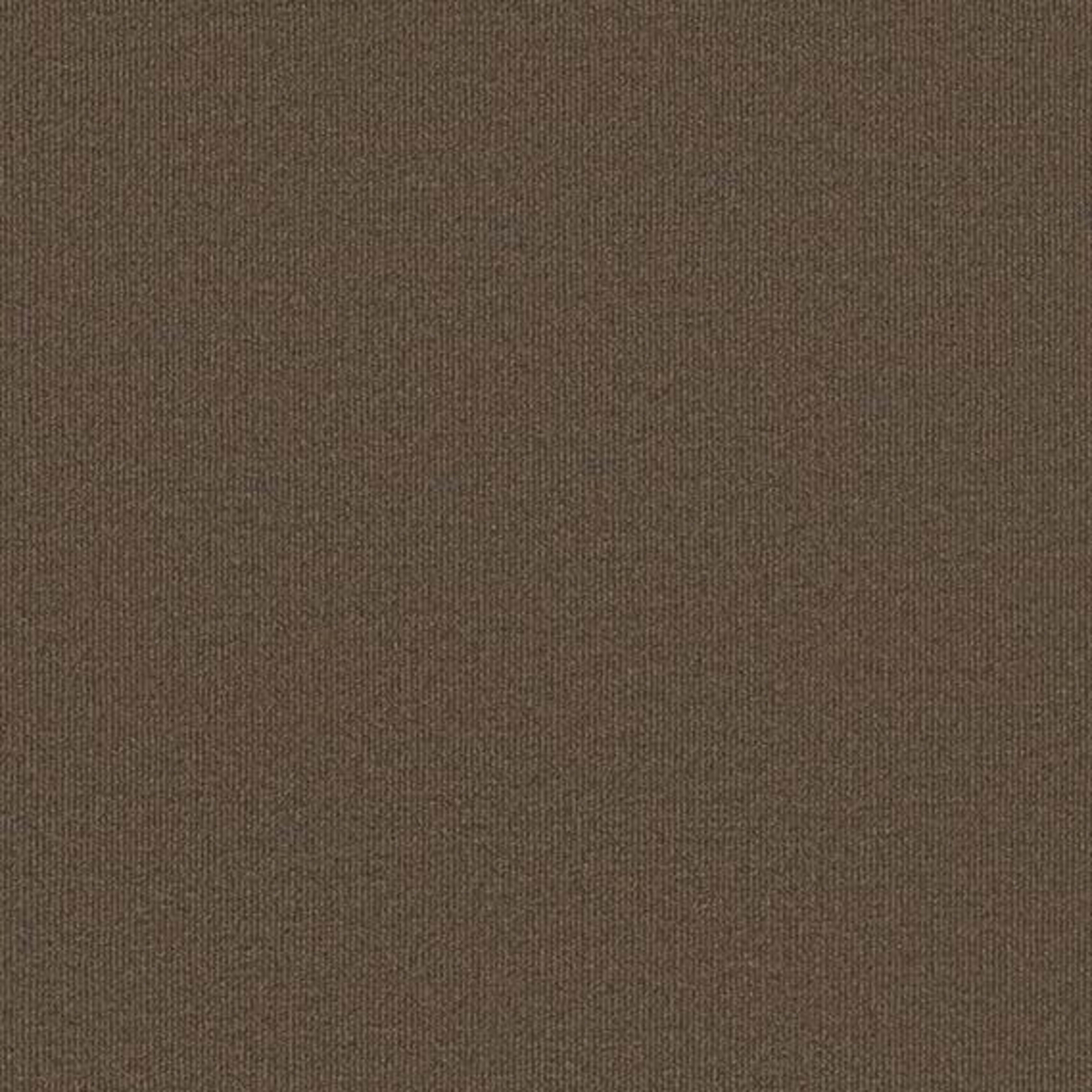 Backdrop 2 12 in Peat Carpet