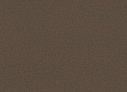Backdrop 2 12