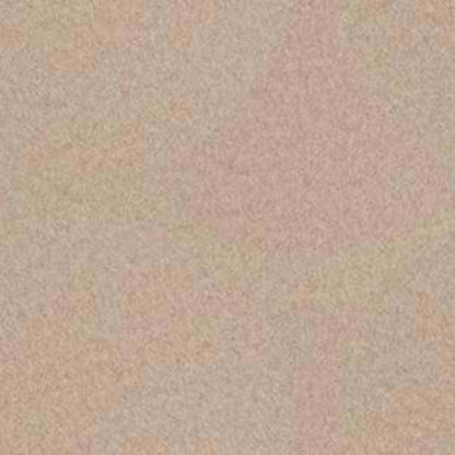Softscape II 6 in Natural Finish Carpet