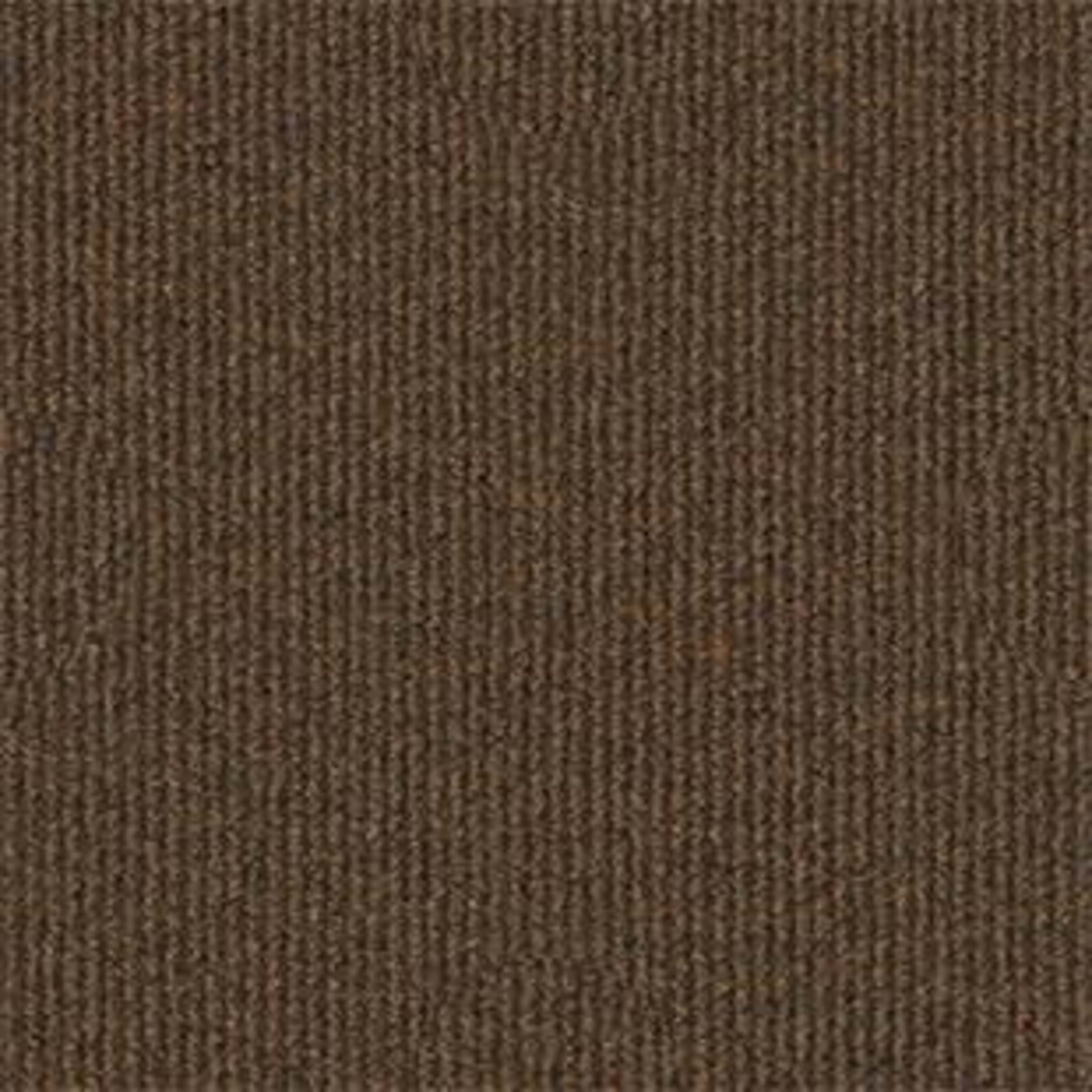 Summer Stock in Boardwalk Carpet