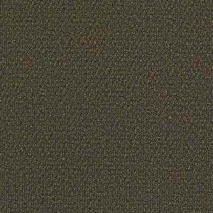 SUCCESSIONII BL
