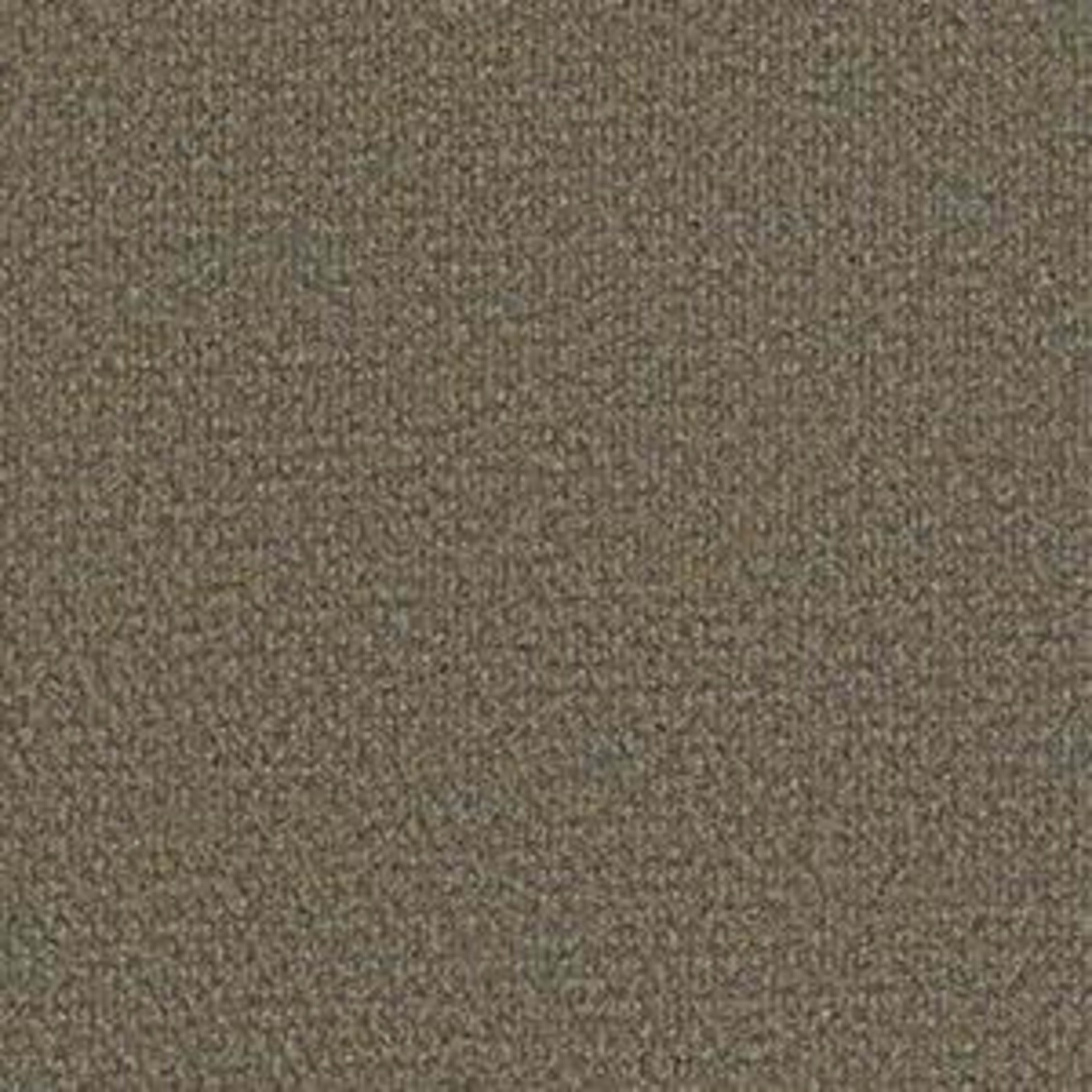 SUCCESSIONII TL in Sierra Sand Carpet