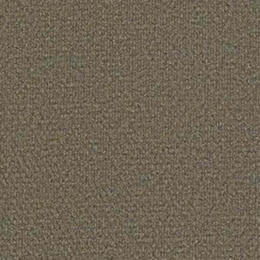 SUCCESSIONII TL in Sierra Sand Carpet