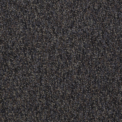 Franchise II 26 in Black Diamond Carpet