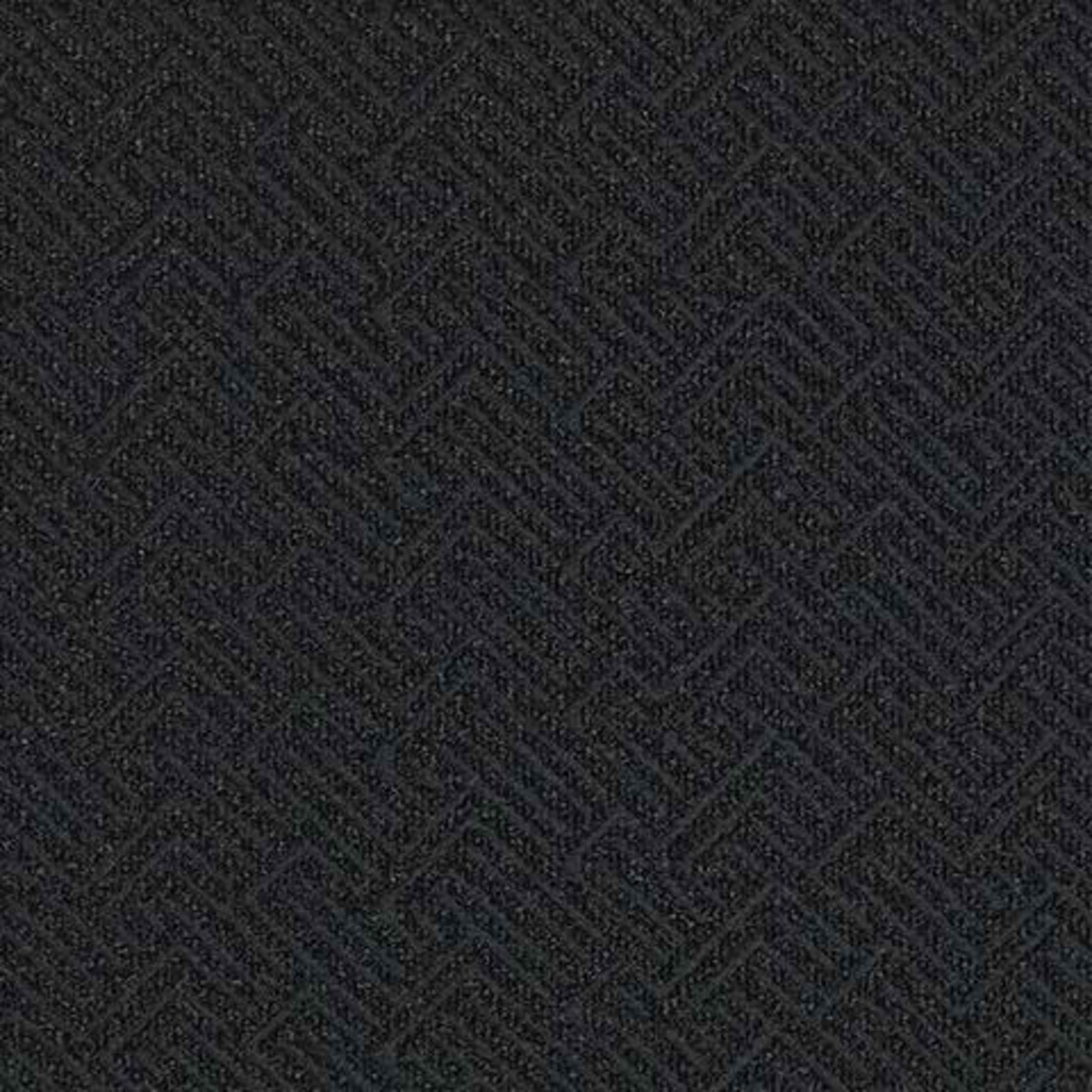 Tread On Me in Ironstone Carpet