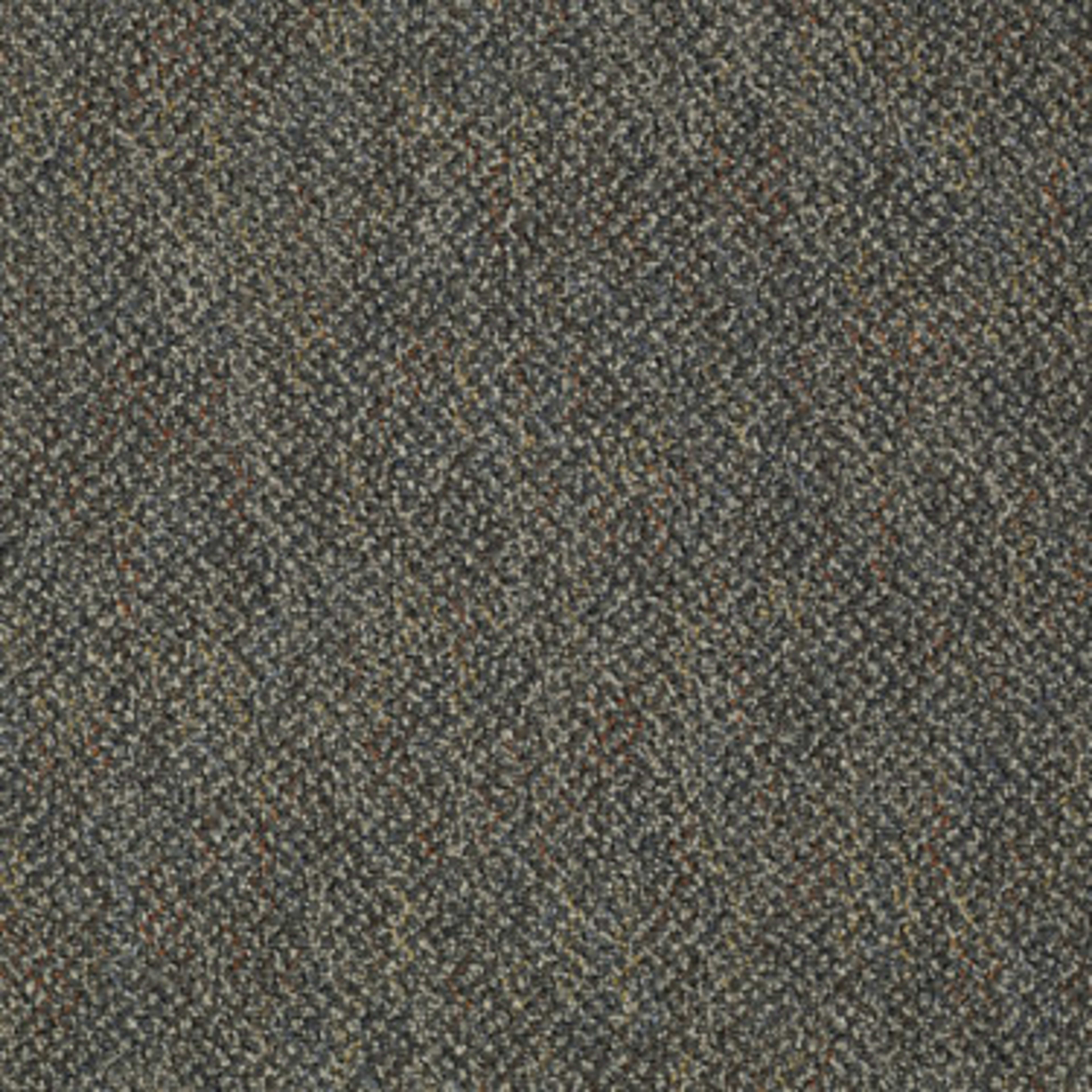 Zing in Cheerful Carpet