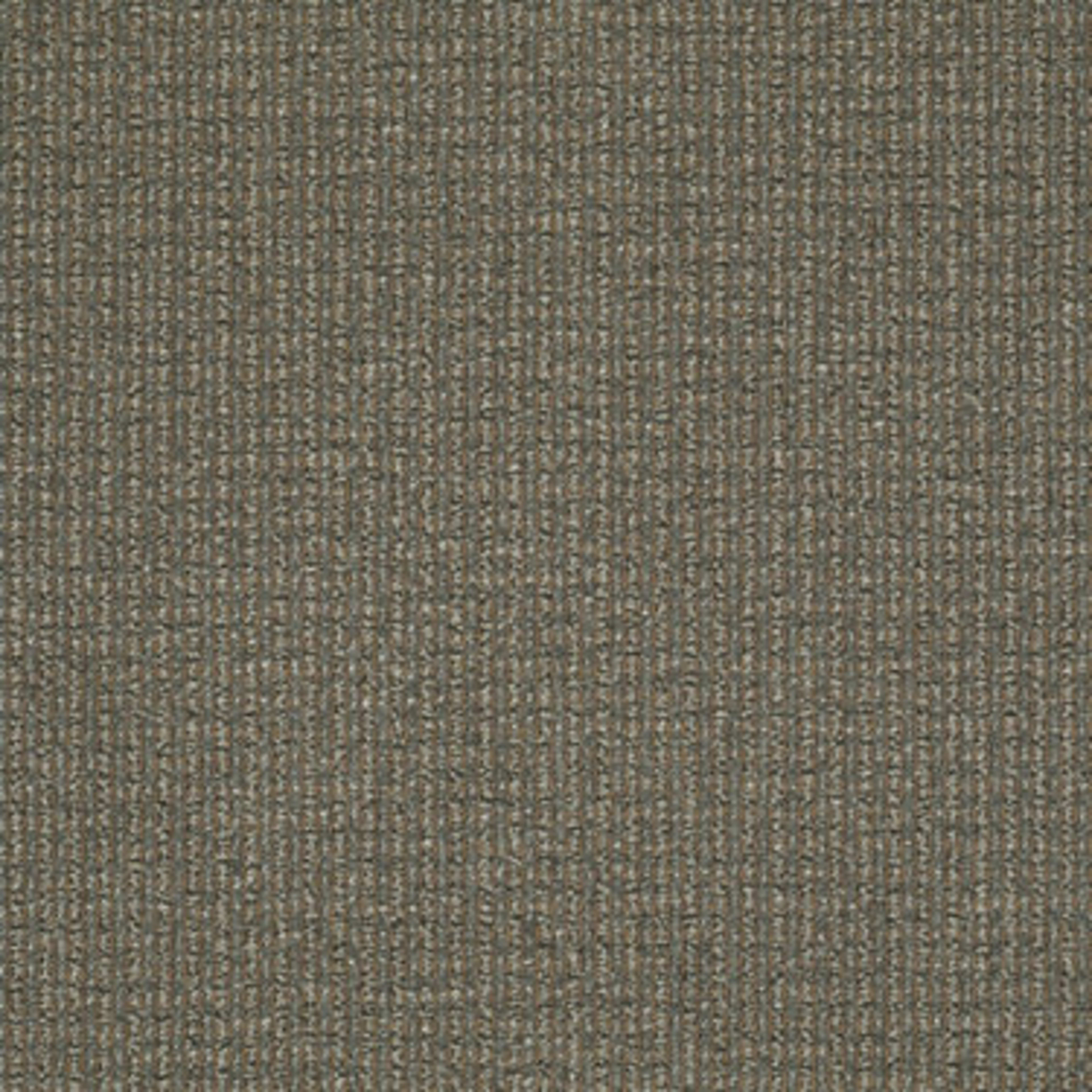 On The Move in Sure Thing Carpet