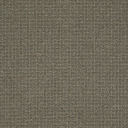 On The Move in Sure Thing Carpet