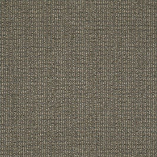 On The Move in Sure Thing Carpet