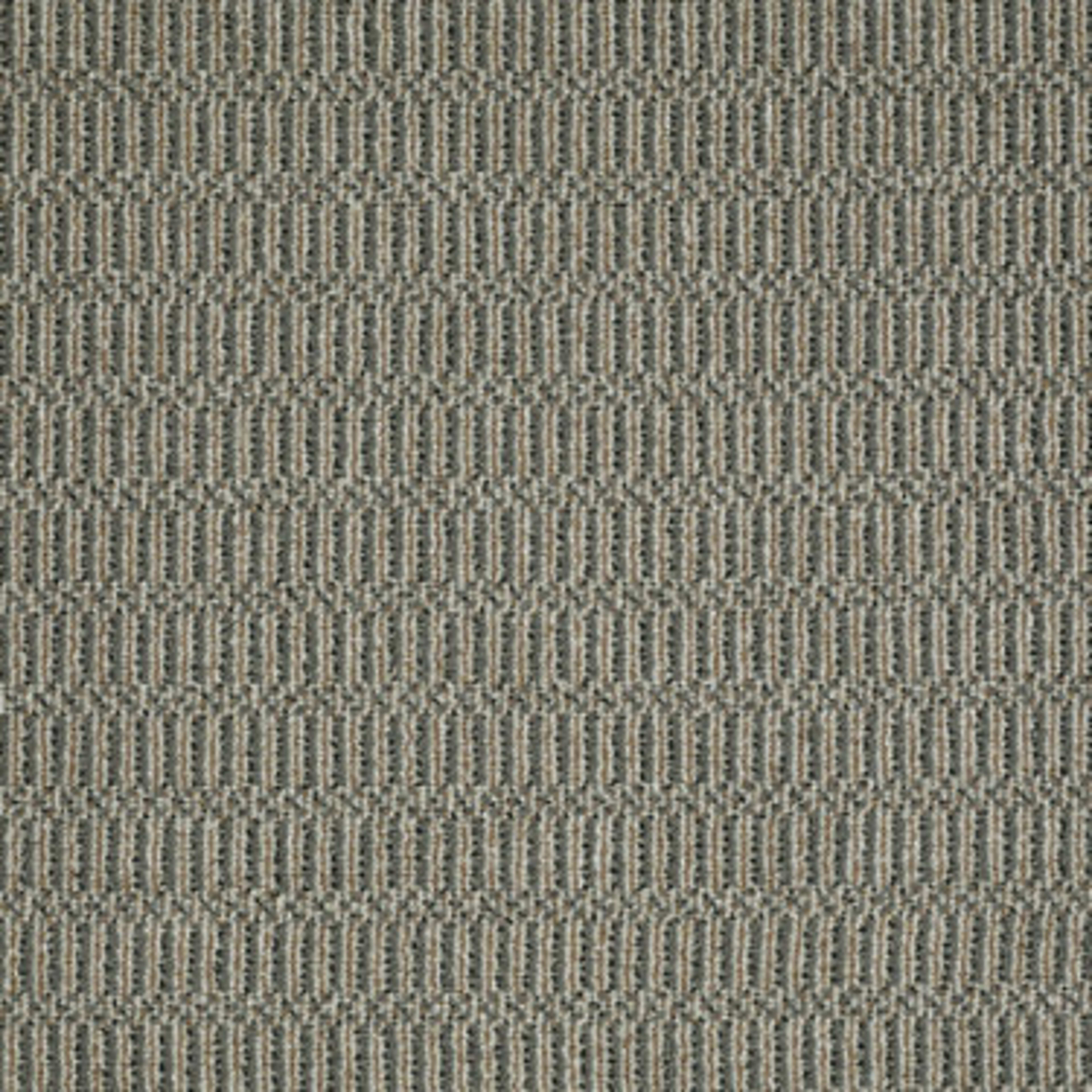 On Site in Sure Thing Carpet