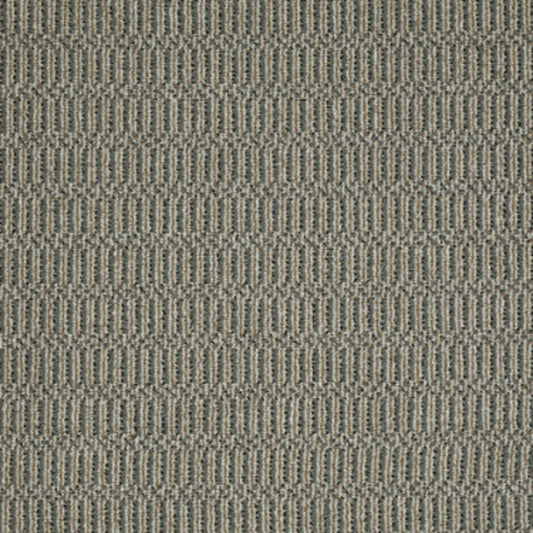 On Site in Sure Thing Carpet