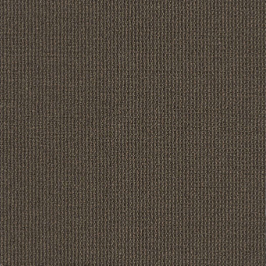 DATELINE TODAY in Anchors Carpet