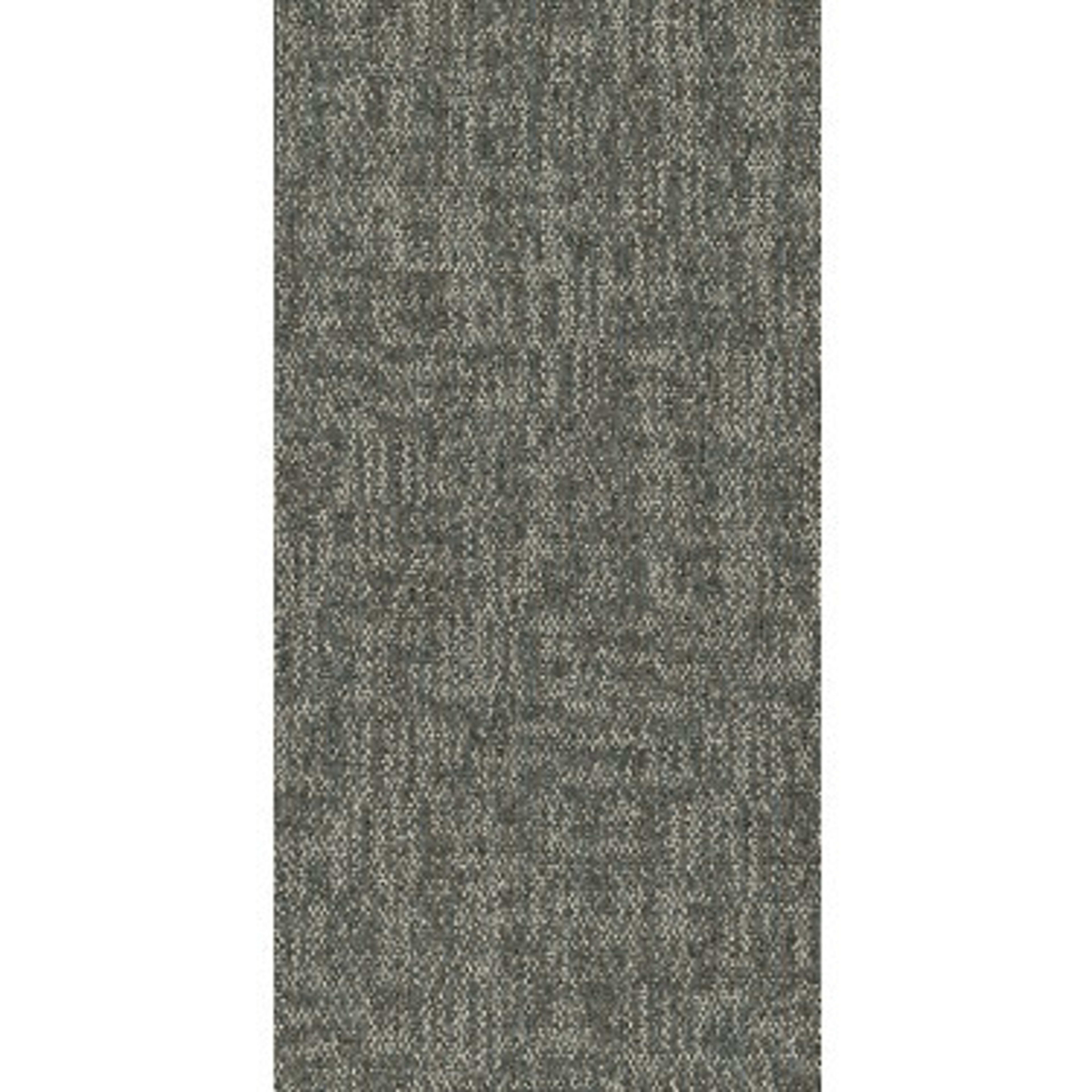 CRAZY SMART in Daring Carpet