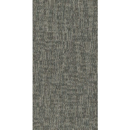 CRAZY SMART in Daring Carpet