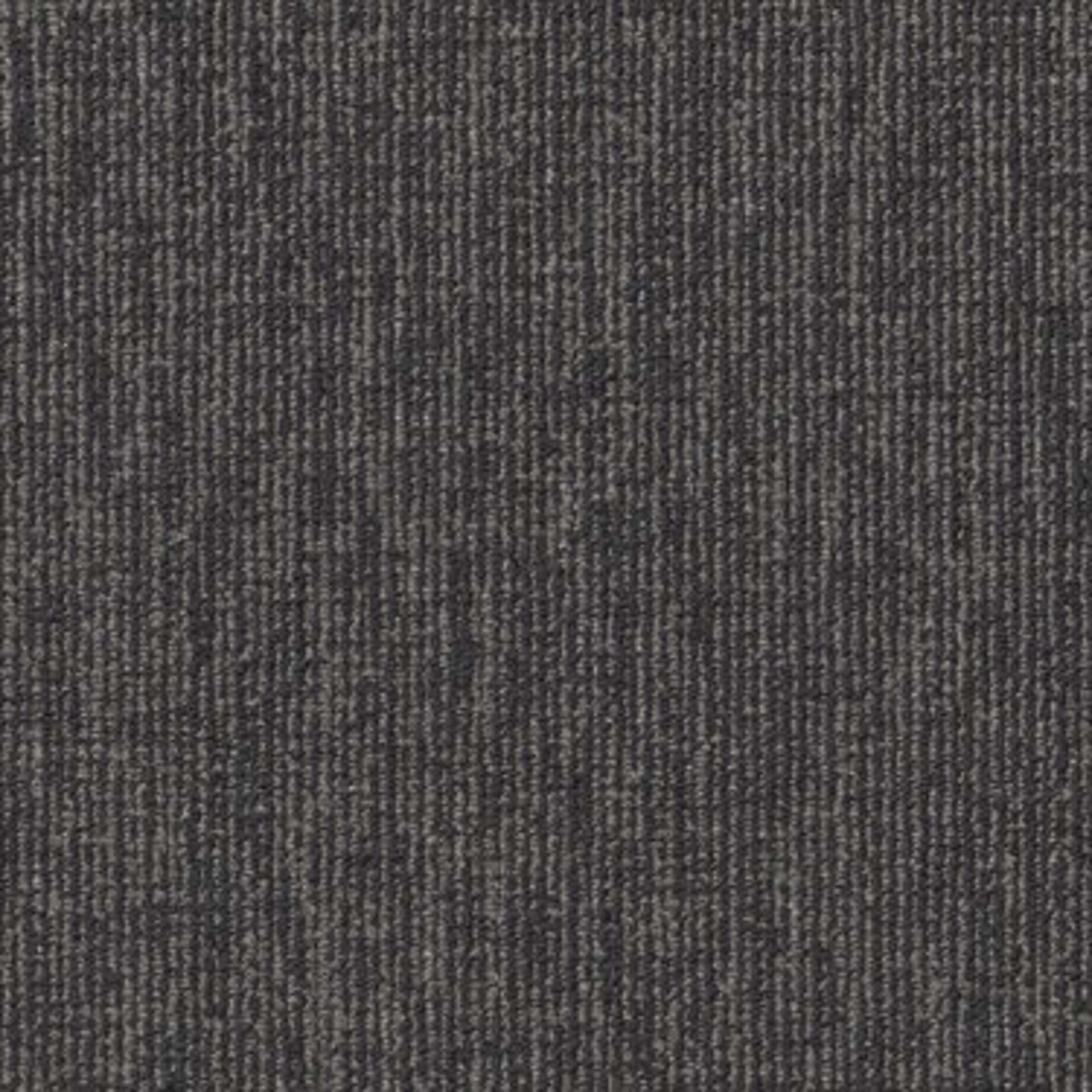 ENGRAIN in Essential Carpet