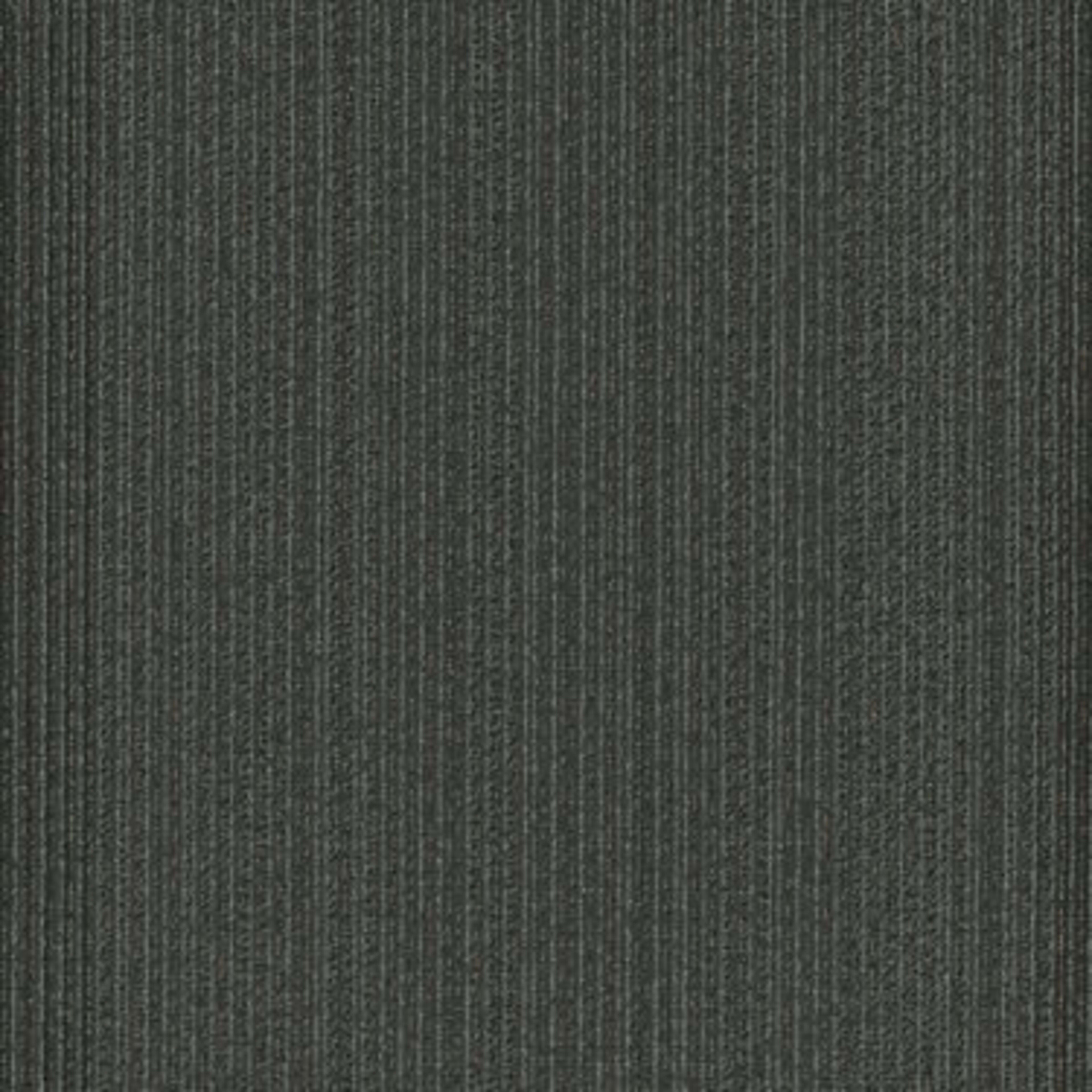 PRACTICAL in Rational Carpet