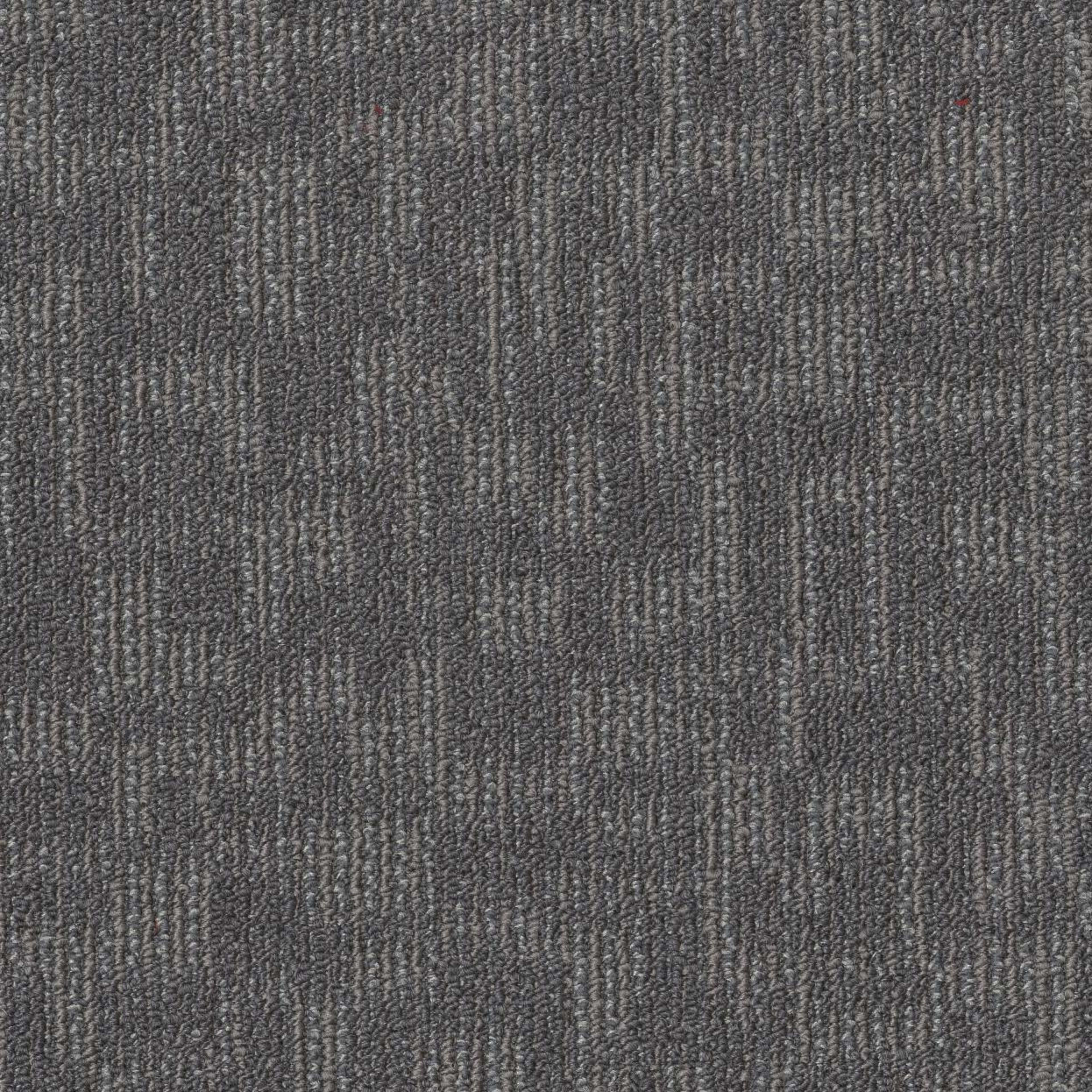 FORGE in Construct Carpet