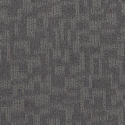 FORGE in Construct Carpet