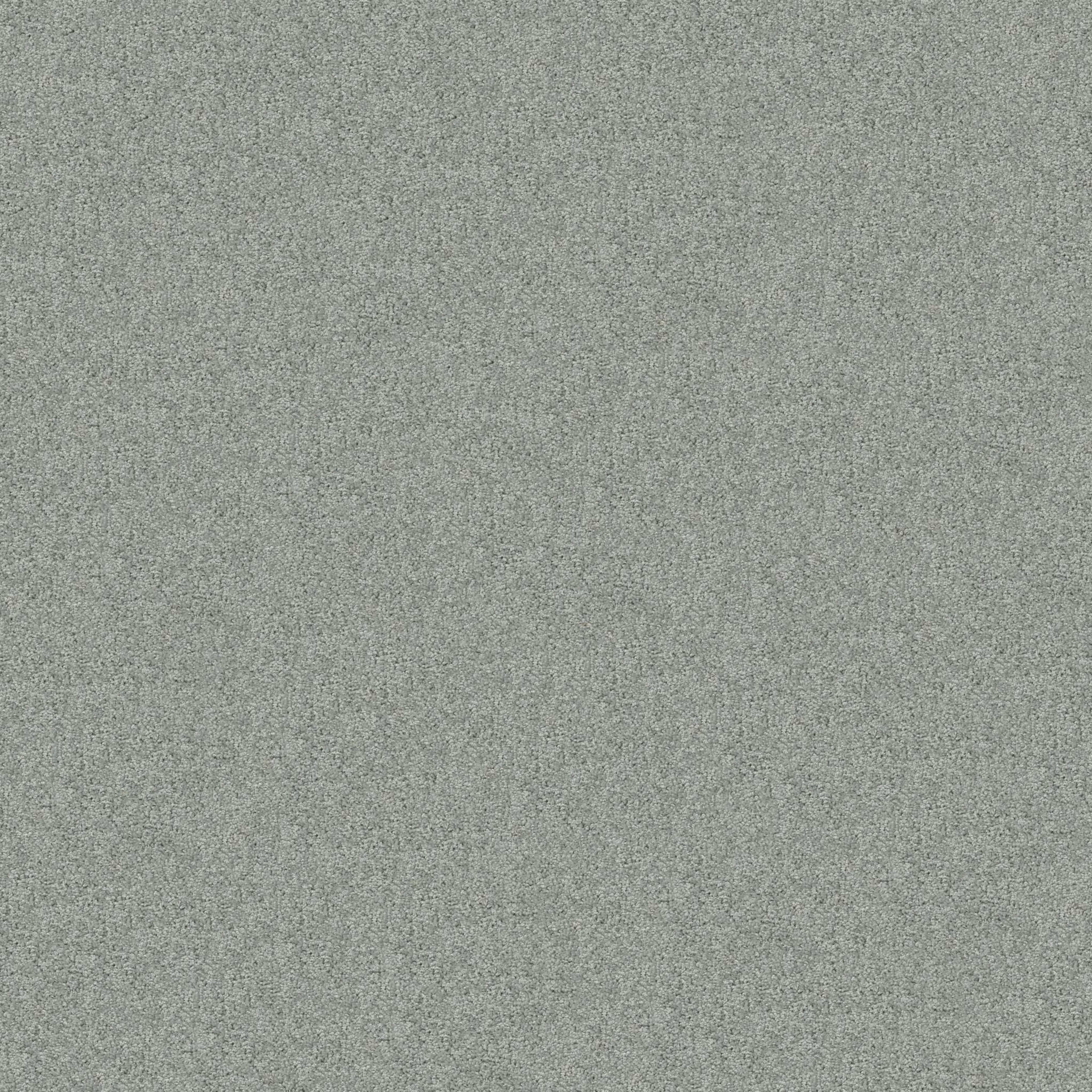 Embark in Drizzle Carpet