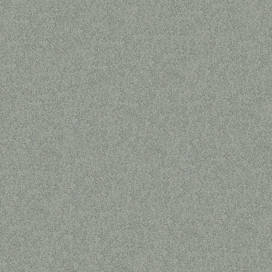 Embark in Drizzle Carpet