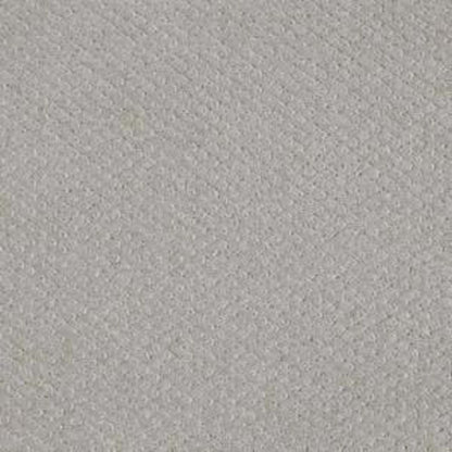 Departure in Sea Salt Carpet