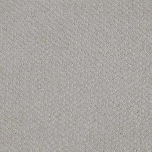 Departure in Sea Salt Carpet