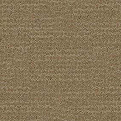 Fast Lane in Travertine Carpet