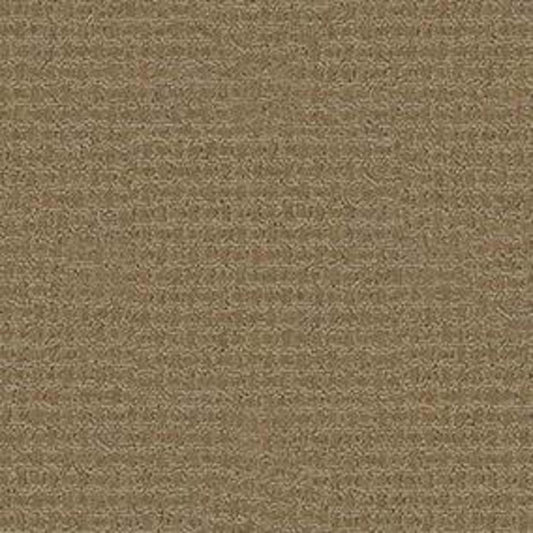 Fast Lane in Travertine Carpet