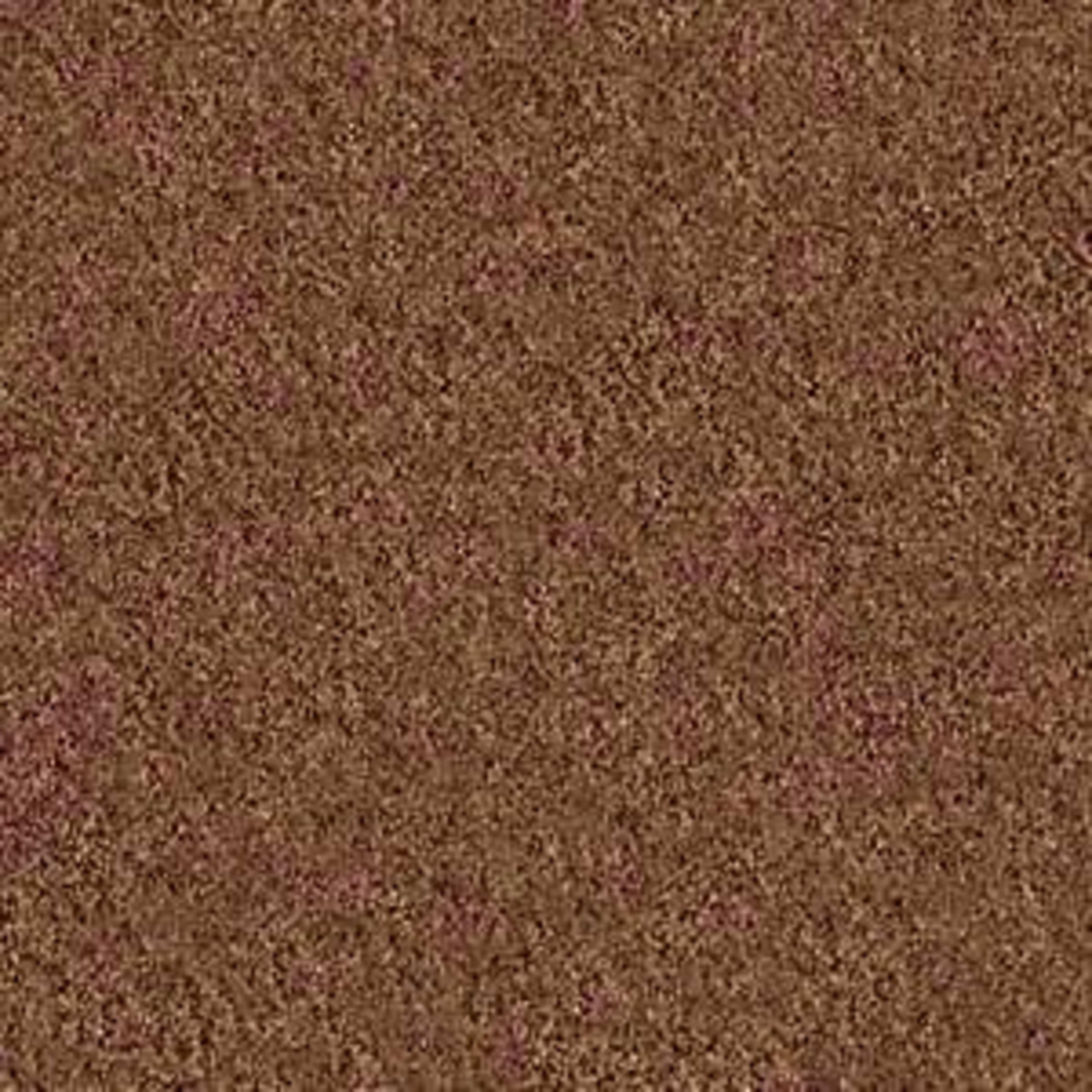 Challenge Accepted I 12' in Pottery Carpet