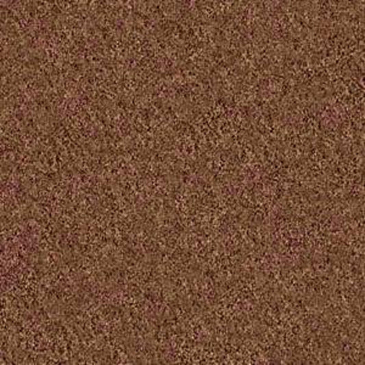 Challenge Accepted I 12' in Pottery Carpet