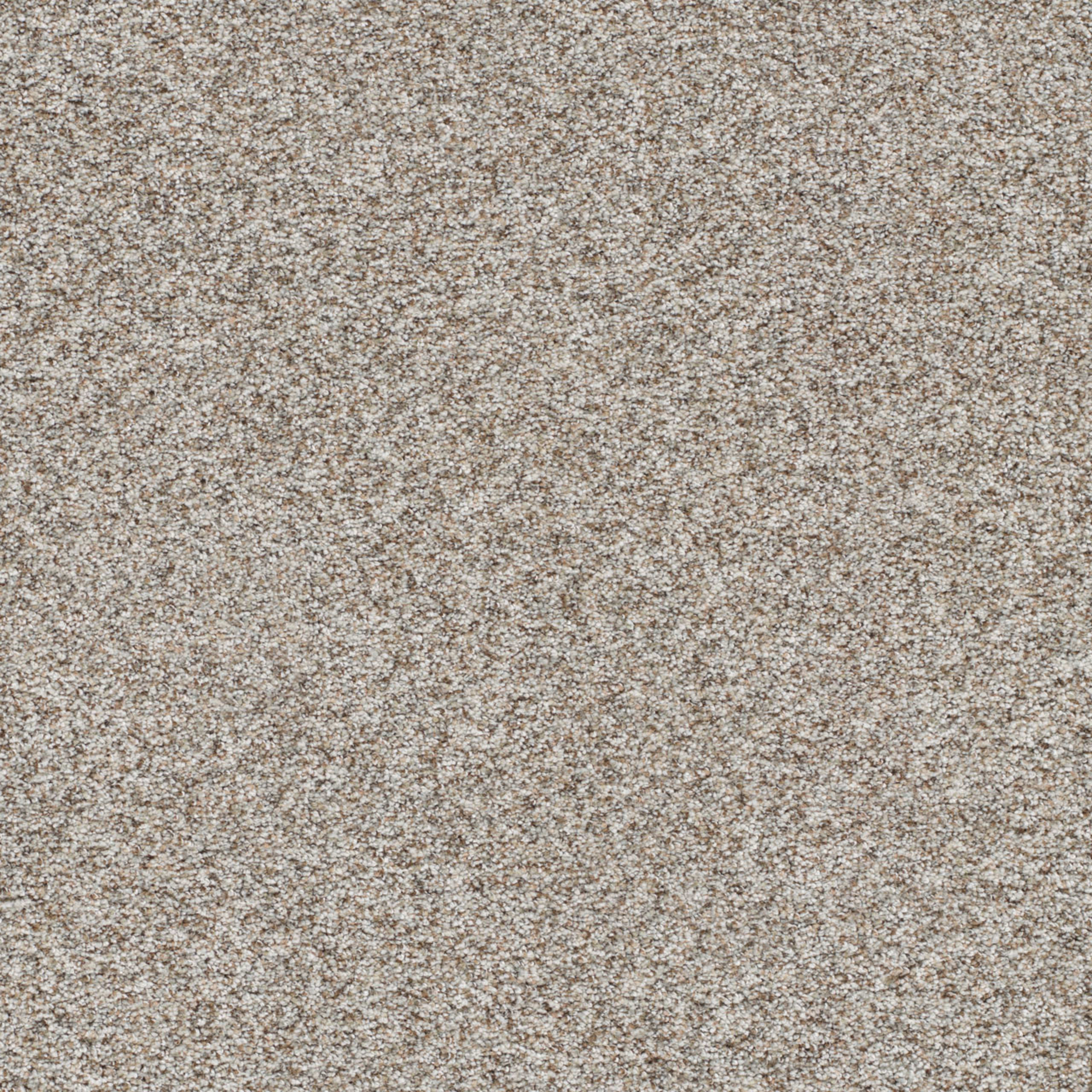 Prismatic III in Crisp Carpet