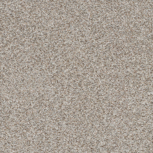Prismatic III in Crisp Carpet