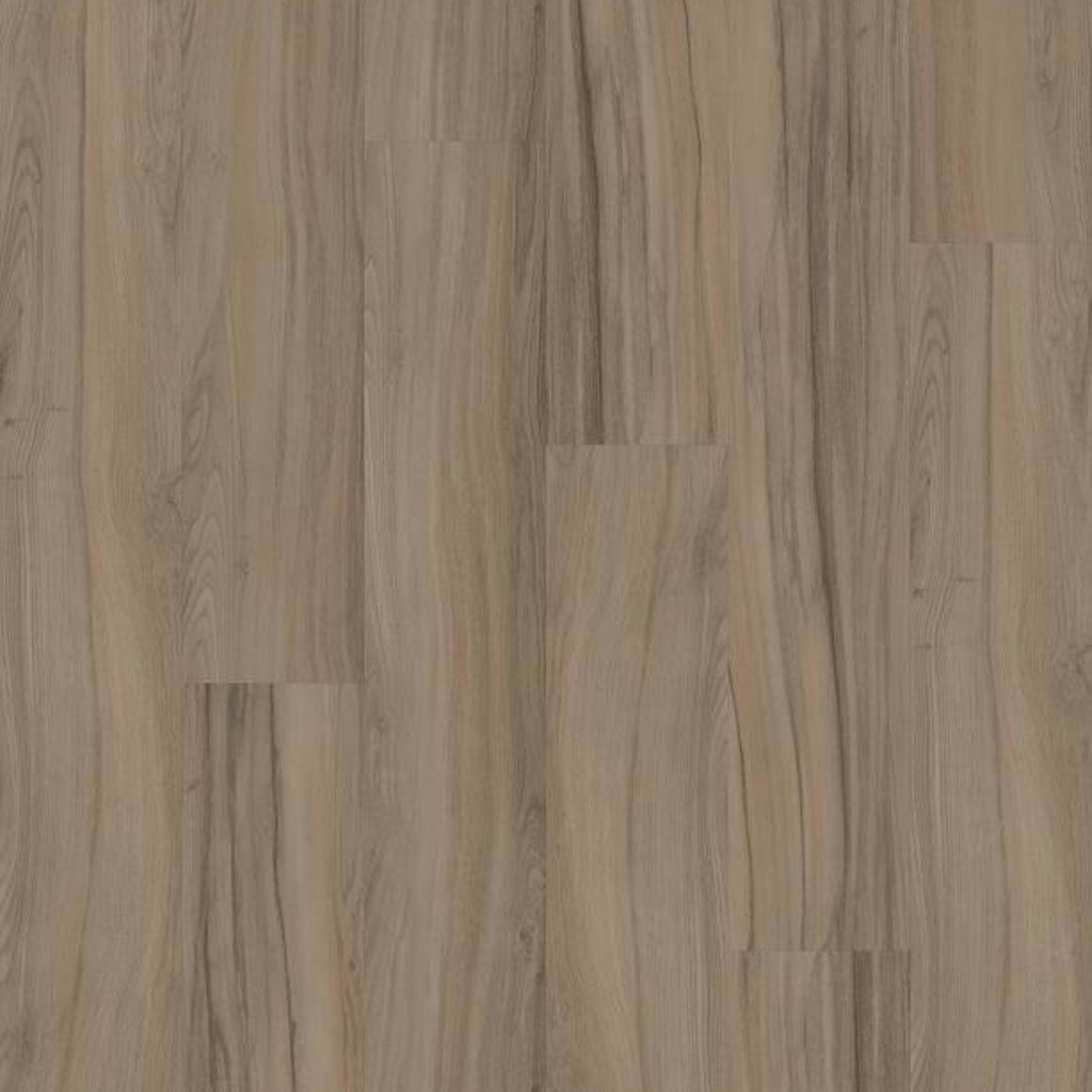 REWILD in Grounded Luxury Vinyl