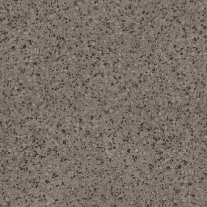 NOVARA in Toratora Luxury Vinyl