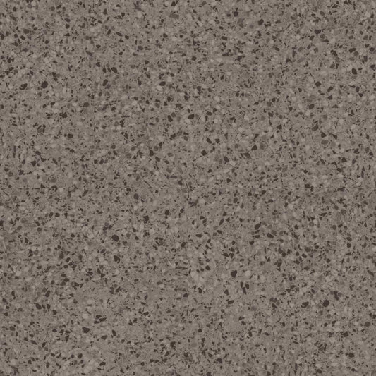 NOVARA in Toratora Luxury Vinyl