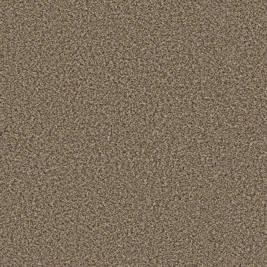 BREAK AWAY (B) in Safari Carpet