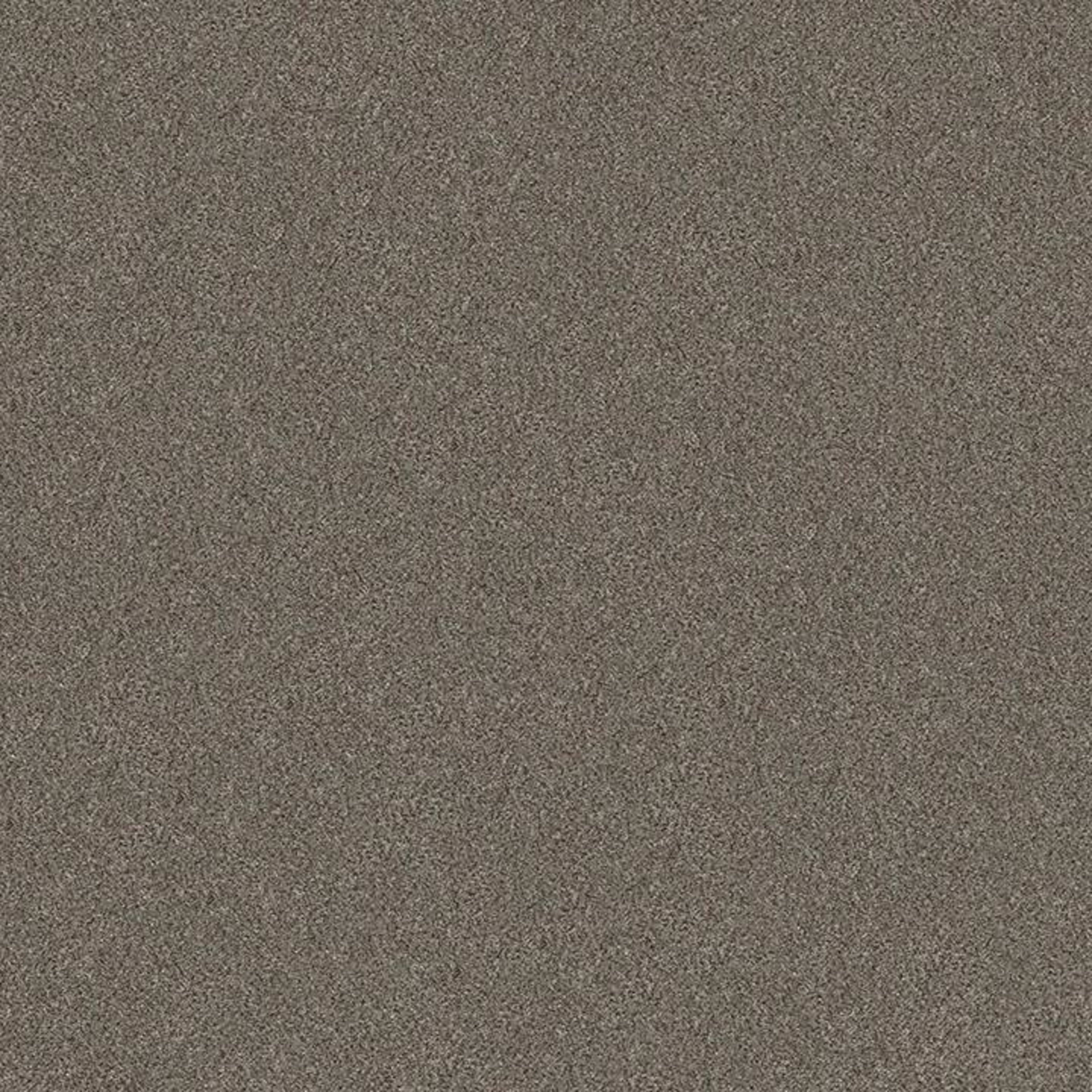 WITHOUT LIMITS I in Misty Mica Carpet