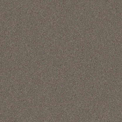 WITHOUT LIMITS I in Misty Mica Carpet