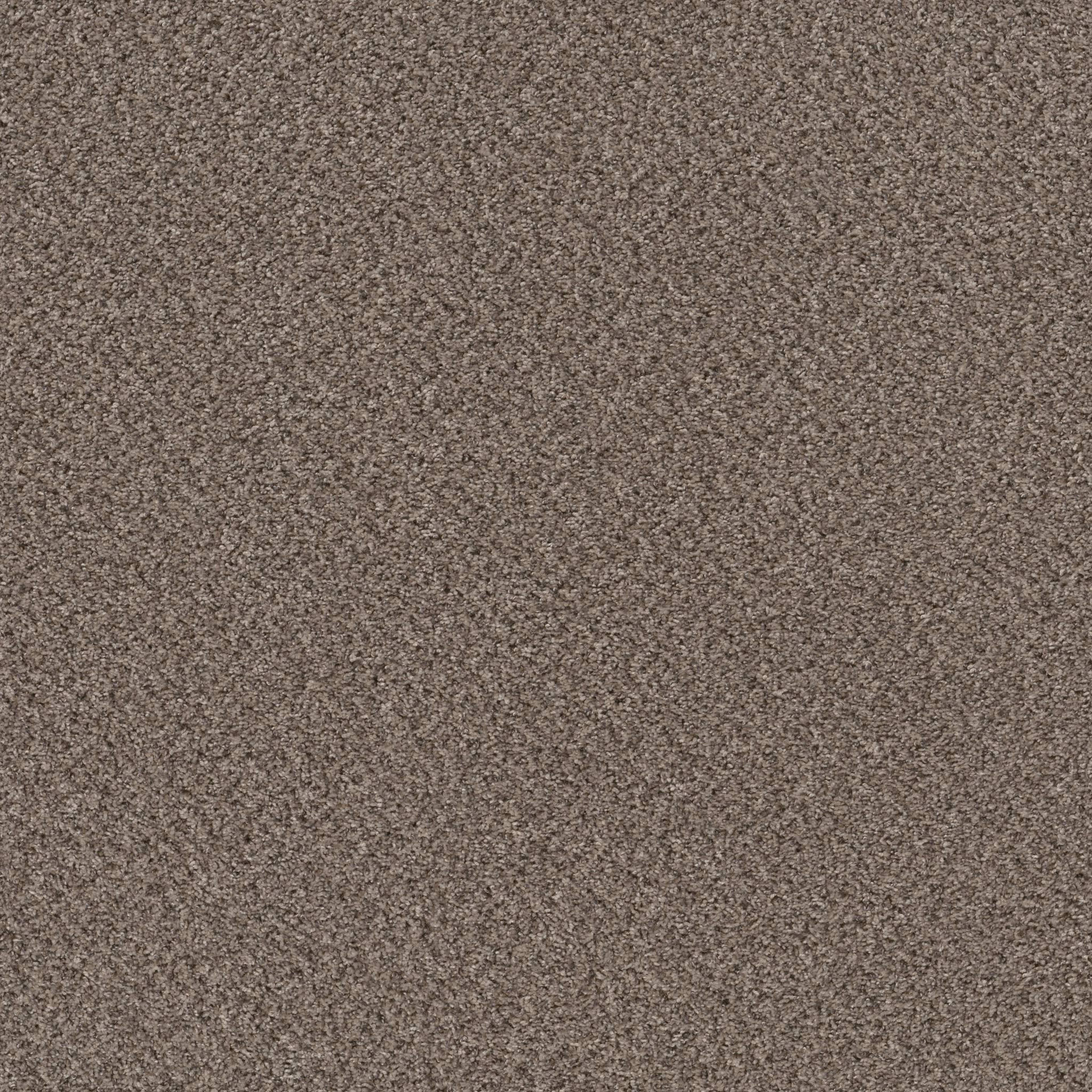 MIX'D ESSENTIALS in Burro Brown(A) Carpet