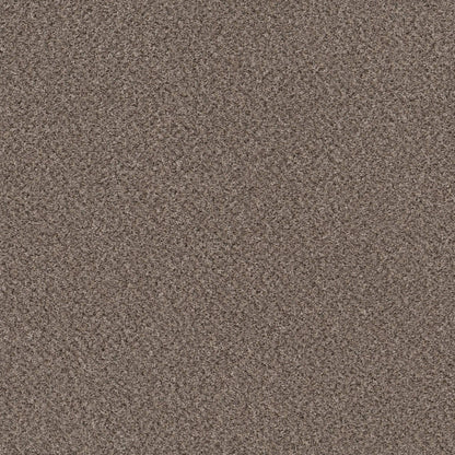 MIX'D ESSENTIALS in Burro Brown(A) Carpet