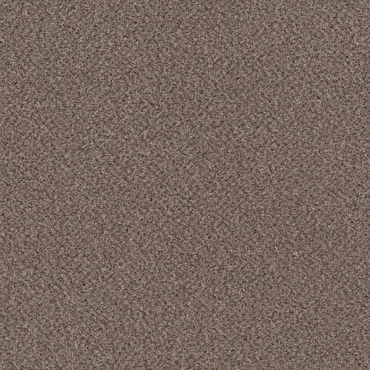 MIX'D ESSENTIALS in Burro Brown(A) Carpet