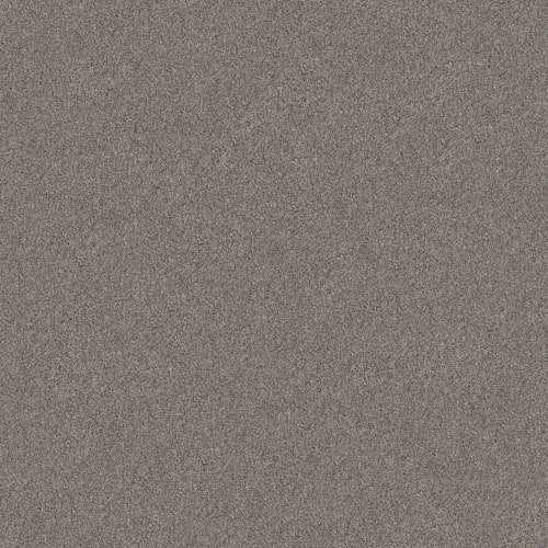 LIVE ON COMFORT in Century Taupe