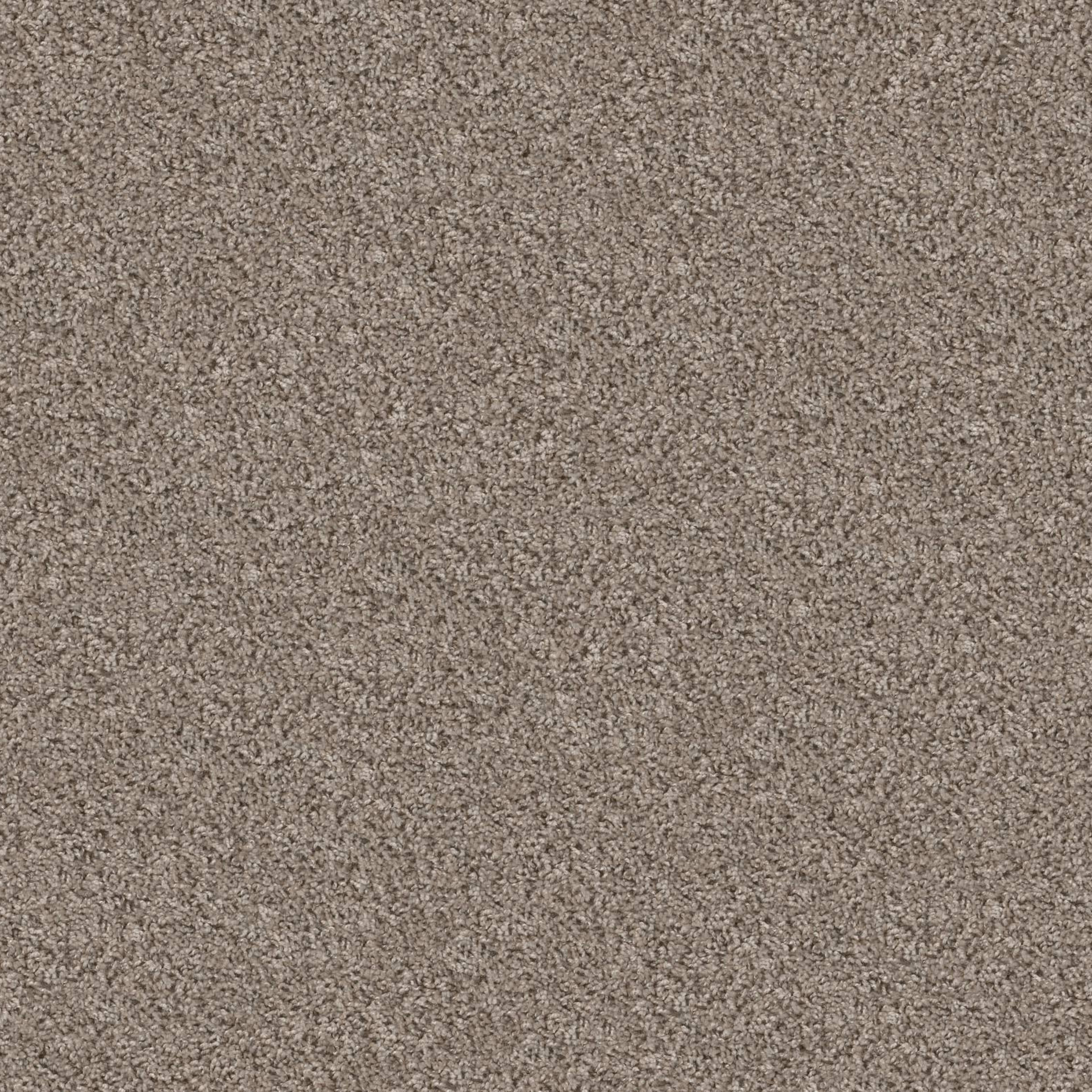 BASIC MIX WT in Baltic Stone Carpet
