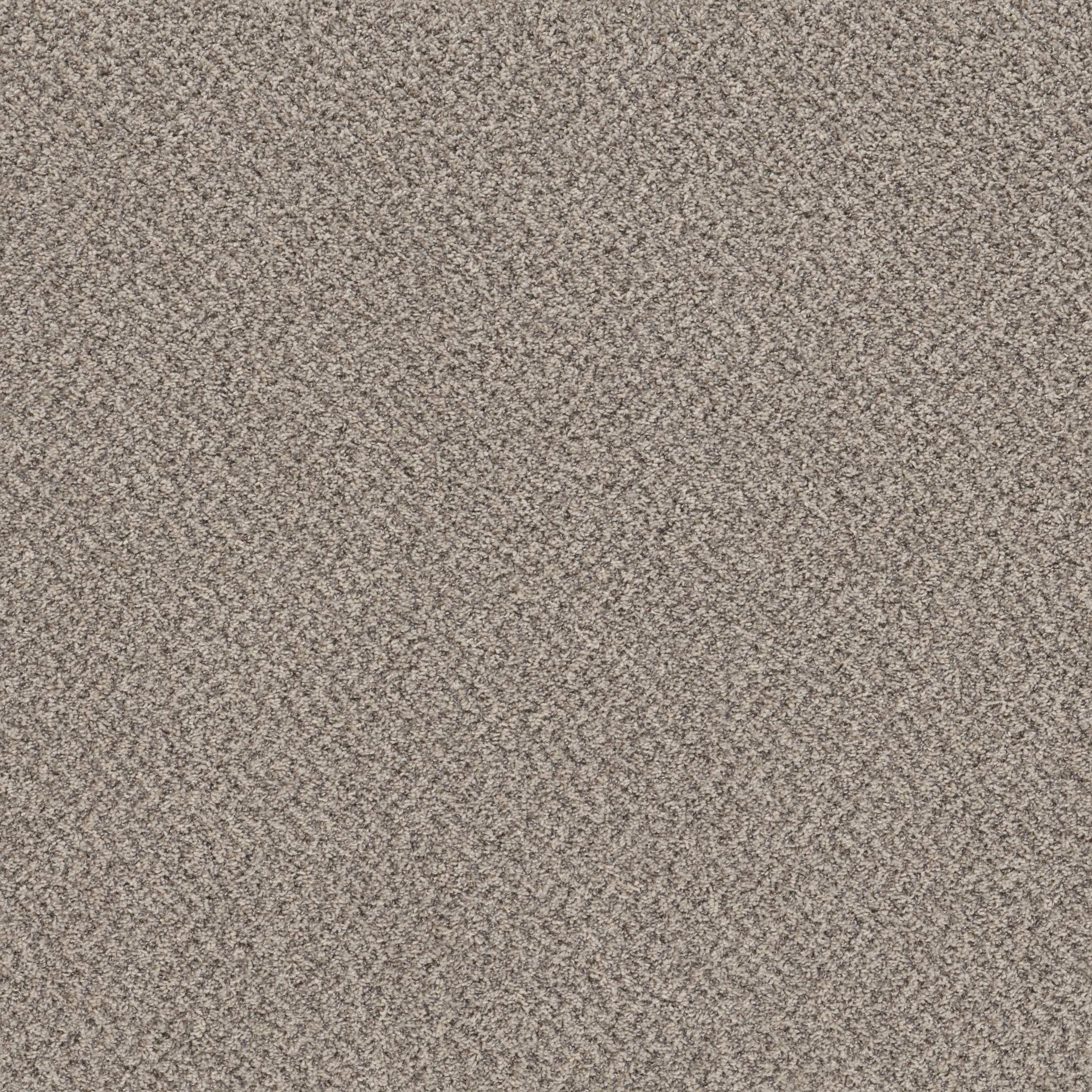 MIX'D ESSENTIALS WT in Dove Feather(A) Carpet